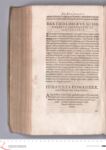 Vorschaubild Seite - 