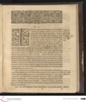 Vorschaubild Seite - 