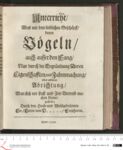 Vorschaubild Seite - 