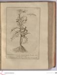 Vorschaubild Seite - 