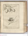 Vorschaubild Seite - 