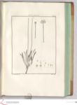 Vorschaubild Seite - 