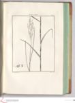 Vorschaubild Seite - 