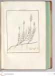 Vorschaubild Seite - 