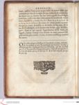 Vorschaubild Seite - 