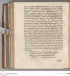 Vorschaubild Seite - 