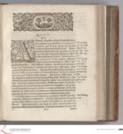 Vorschaubild Seite - 