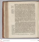 Vorschaubild Seite - 