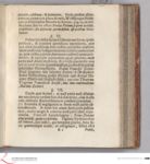 Vorschaubild Seite - 