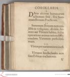 Vorschaubild Seite - 