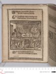 Vorschaubild Seite - 