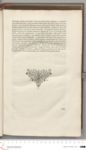 Vorschaubild Seite - 