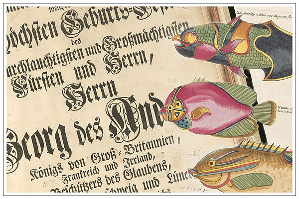 VD 18 Vorschaubild VD 18